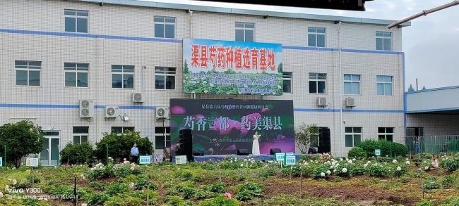 69ef0bff6b8e2a72c90a2a2d_m