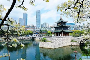 贵阳“互联网+医疗”让群众健康获得感成色更足
